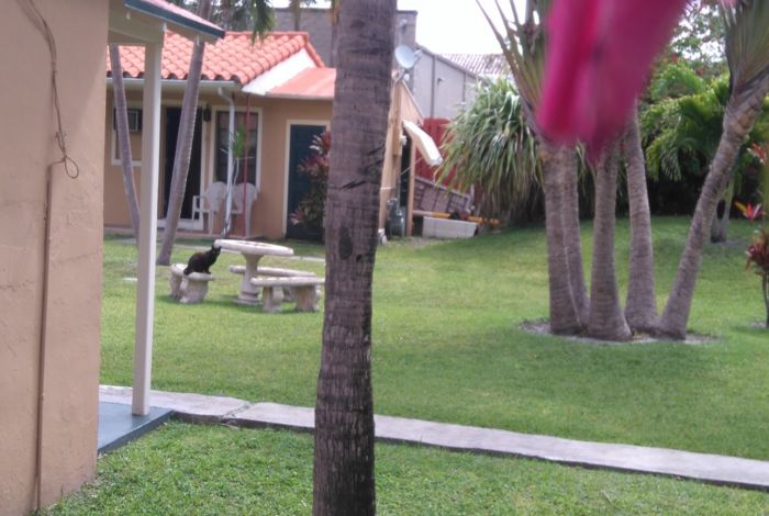 Photo #4