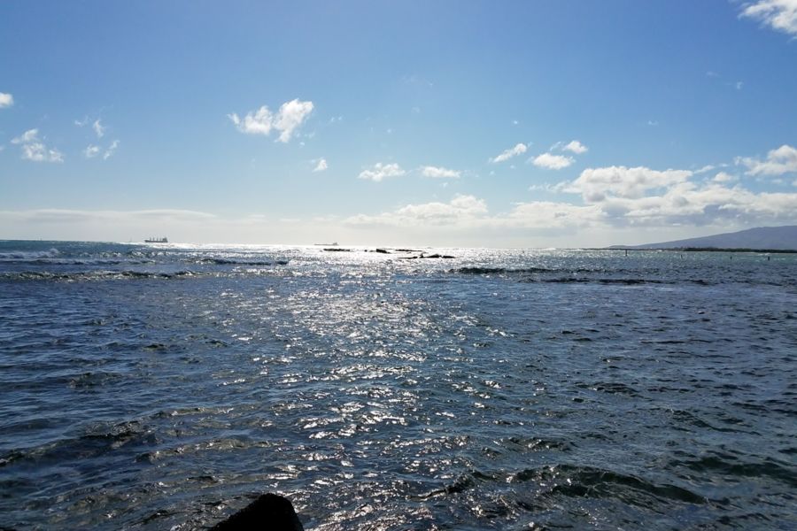 Photo #8