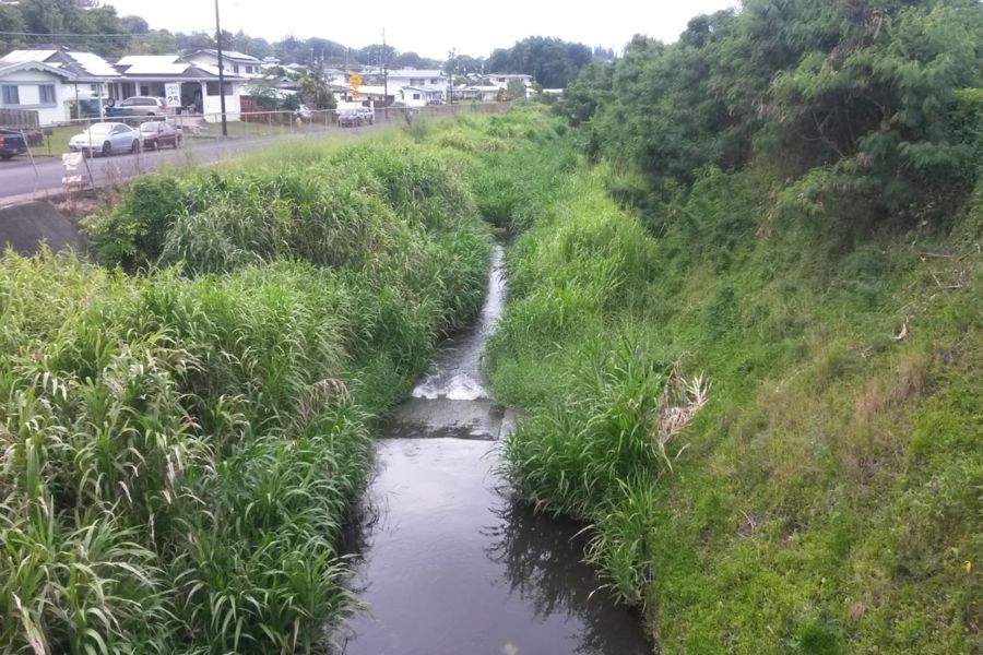 Photo #7