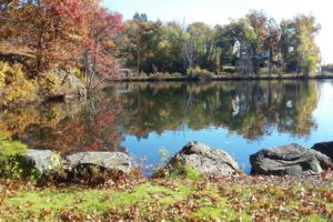 Photo of Malden