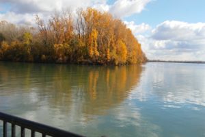 Photo of Ecorse