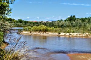 Photo of Corrales
