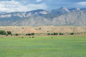 Photo of Pueblo of Sandia Village