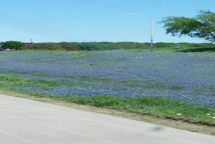 Photo #9
