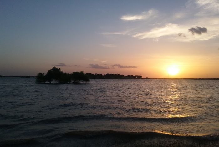 Photo #6