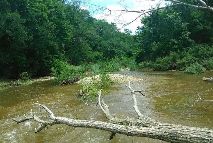 Photo #6