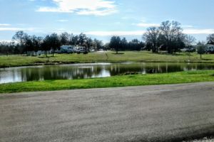 Photo #1