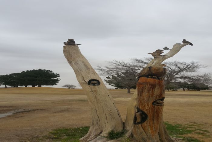 Photo #10