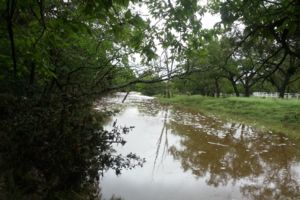 Photo #1