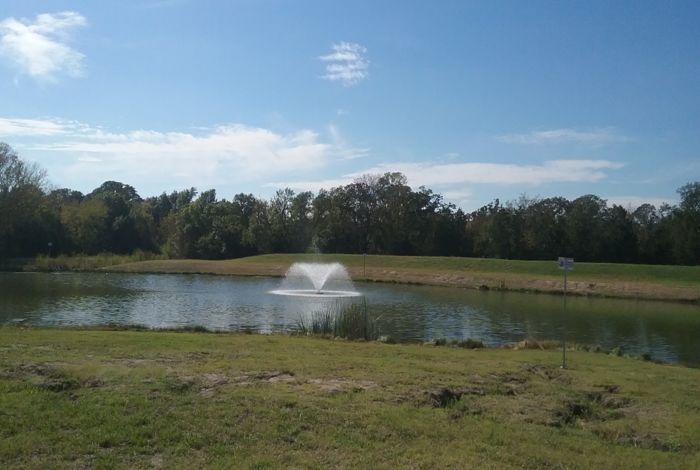 Photo #8