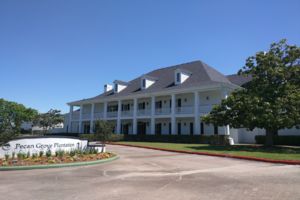 Photo of Pecan Grove