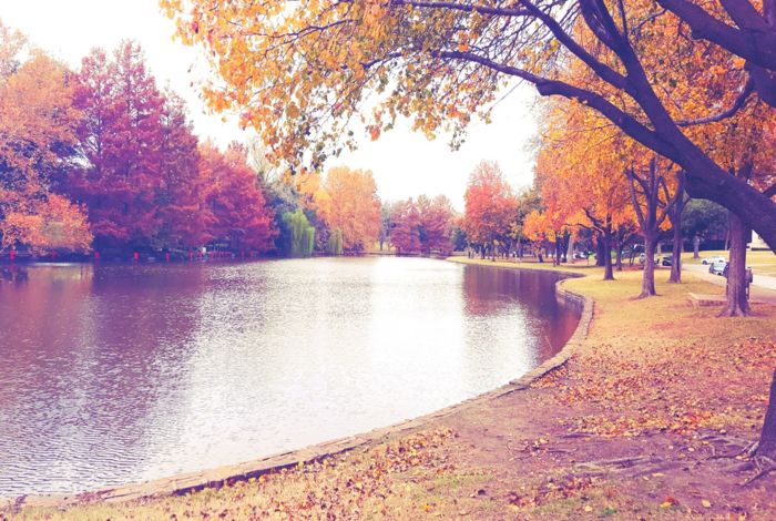 Photo #7