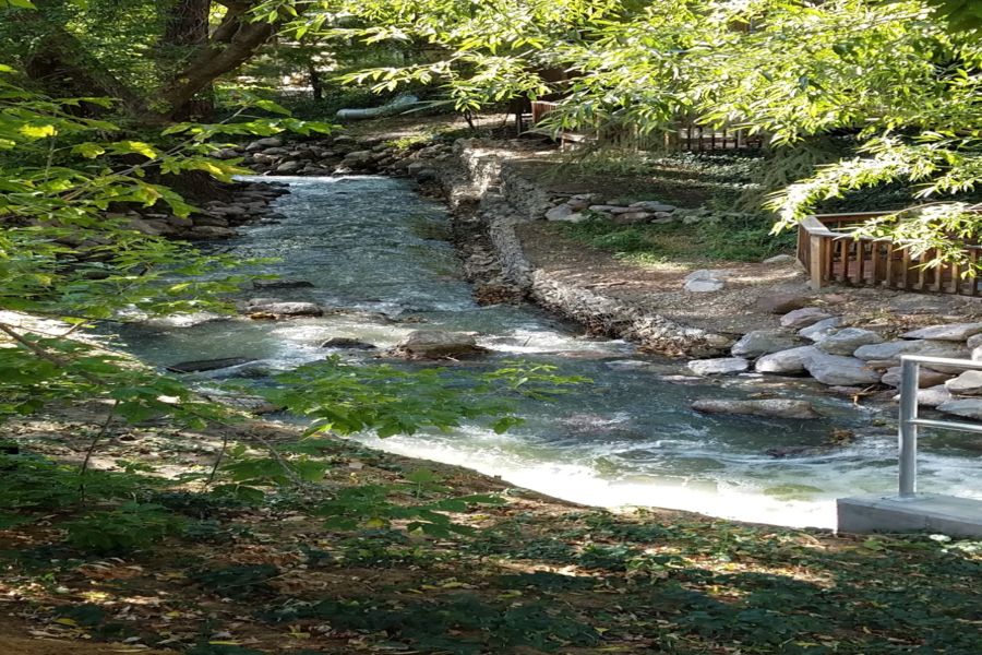 Photo #8