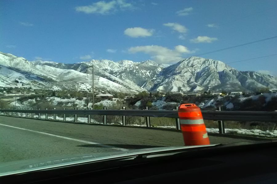 Photo #6